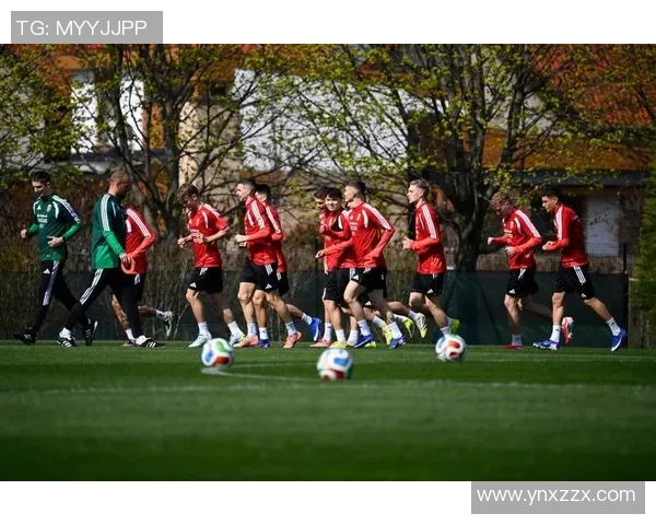 匈牙利与芬兰足球历史交锋回顾及战绩分析 匈牙利与芬兰足球历史交锋回顾及战绩分析