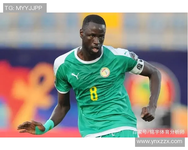 塞内加尔与阿尔及利亚精彩对决录像回放及赛后分析分享