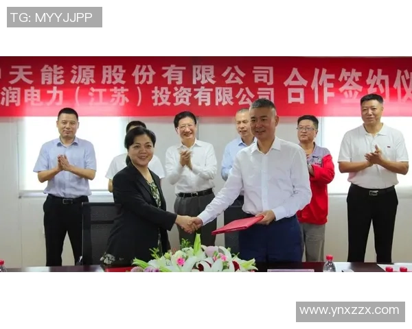 深入分析LNG行业运营策略与市场动态的专业解读