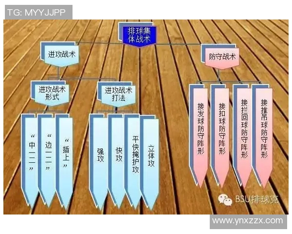 深圳排球队反击策略分析与战术得失评估