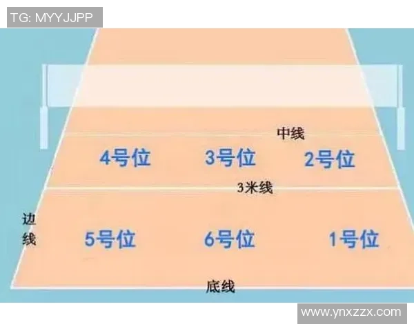 深度分析成都乒乓球队控制打法的战术特点与应用策略